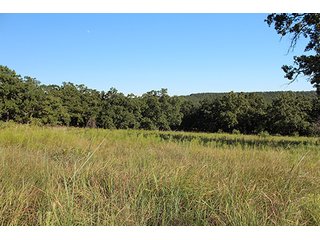 Property photo 25 - LAND AUCTION - 440+/- ACRES OFFERED IN 17 TRACTS IN OSAGE CO., OKLAHOMA